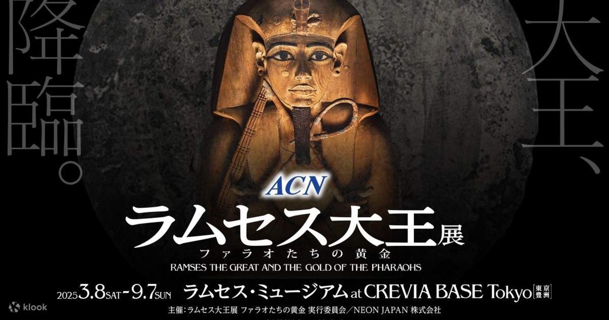 ACN Egyptian Antiquities